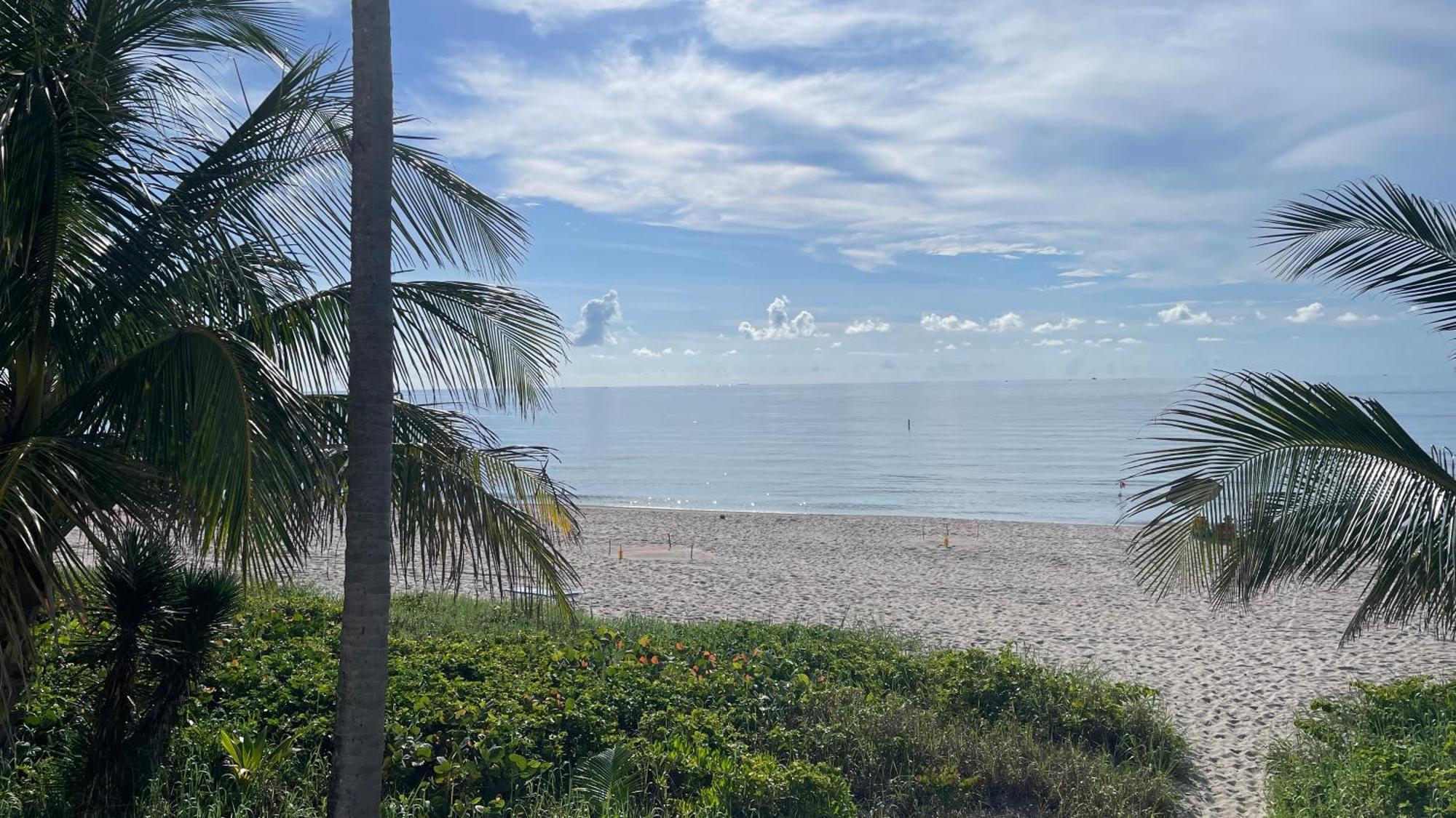 פומפנו ביץ' Studiobts - Lauderdale-By-The-Sea מראה חיצוני תמונה